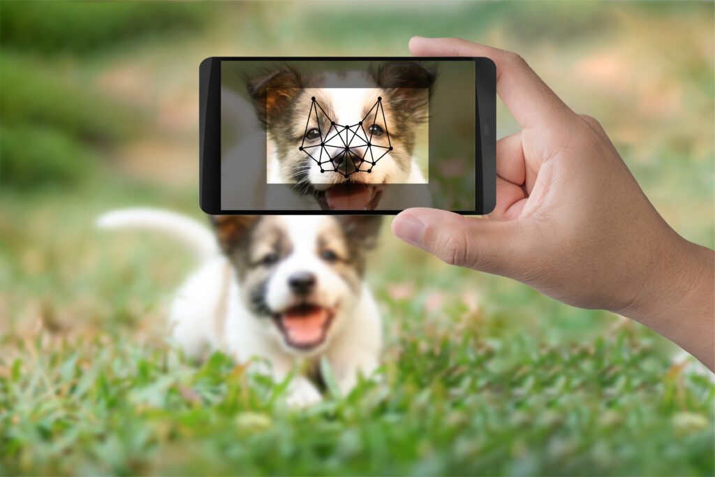 Como a IA Está Transformando a Busca por Pets Perdidos nos EUA?